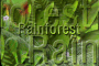 rainforest