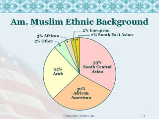 Connecting Cultures pie chart