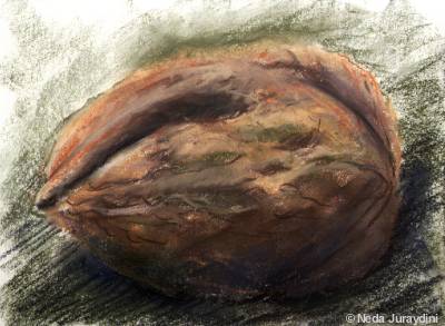 Walnut