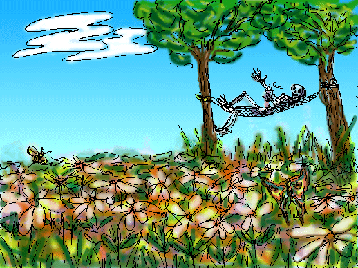 Hammock